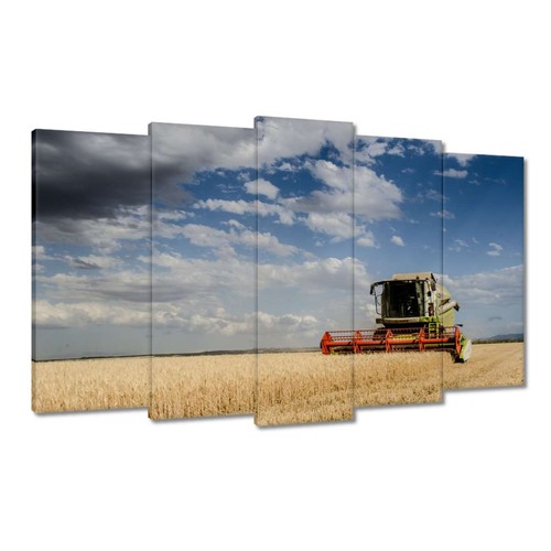 Quadro tela - tela,