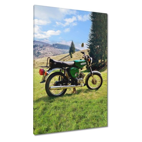 Quadro tela da - quadro,
